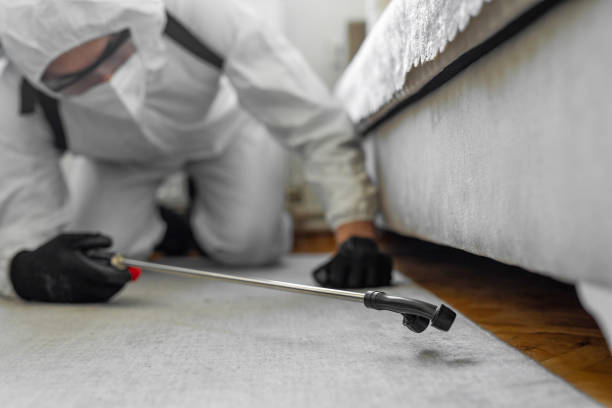Professional Pest Control technician working in Miller County County, AR